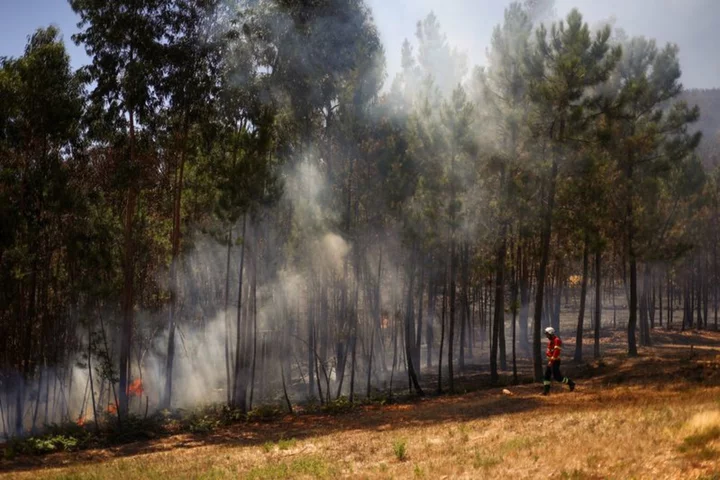 Portugal wildfire rages as strong winds and heat fan flames