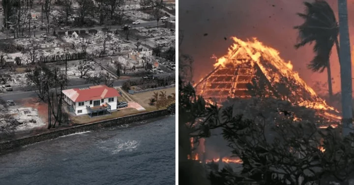 Owner of red-roofed miracle house that survived Maui wildfires reveals why it didn't burn down