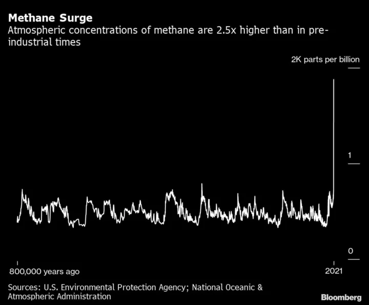 JPMorgan Touts Methane Curbs in Bid to Boost Climate Investment