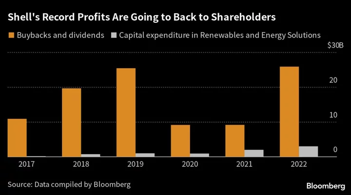 Shell Demands Profit From Green Energy, Not Just CO2 Cuts