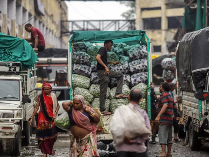 Global food prices bounce following collapse of Black Sea grain deal