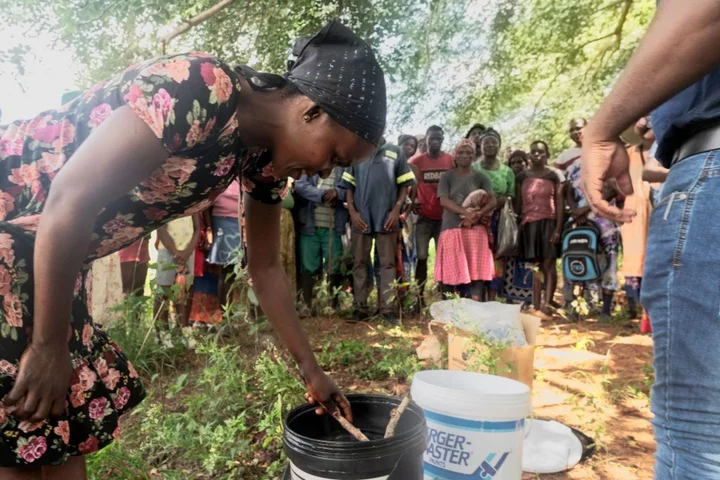 Waste-Treatment Mess Spawns Cholera in South Africa Capital