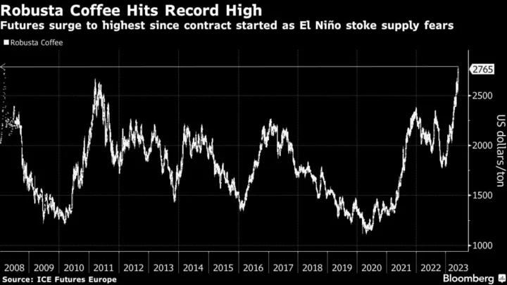 Robusta Coffee Jumps to Record as El Niño Worsens Supply Fears