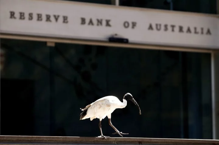 RBA to raise cash rate to 4.35% in August, economists split on peak: Reuters poll