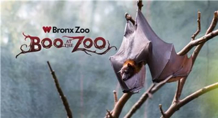 Bronx Zoo's Beloved ‘Boo at the Zoo’ Continues Tradition in 2023