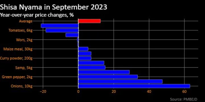 Skyrocketing Onion Prices Drive Up South African Barbecue Index