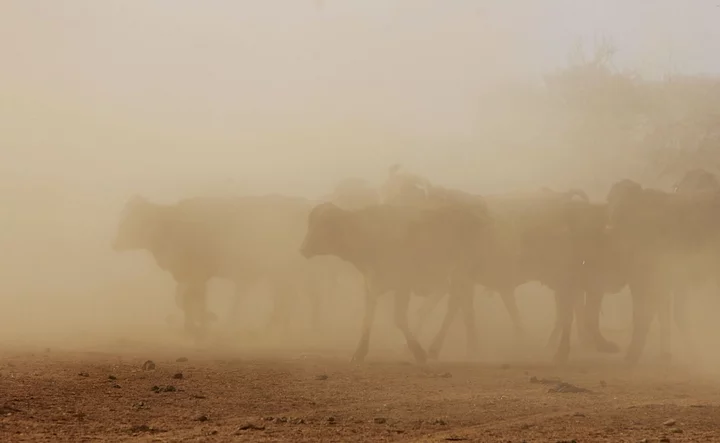 Australia Just Had the Driest October in More Than Two Decades