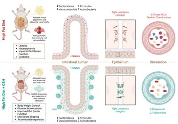 Cell Reports Medicine Publication Demonstrates How Gelesis’ Oral Therapeutic Hydrogel Promotes Weight Loss and Metabolic Health by Targeting the Gut-Liver Axis in Pre-Clinical Studies