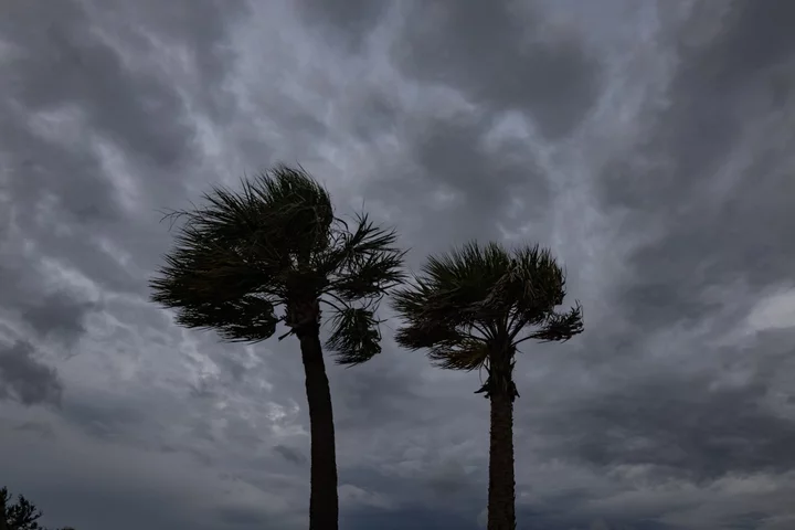 Hurricane Idalia Upgraded to Category 4 Storm, NHC Says