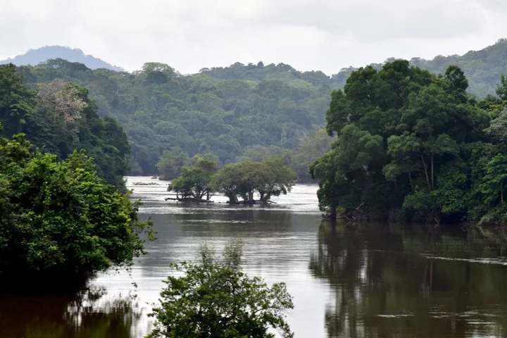 Bank of America to Lead $500 Million Debt Swap for Gabon