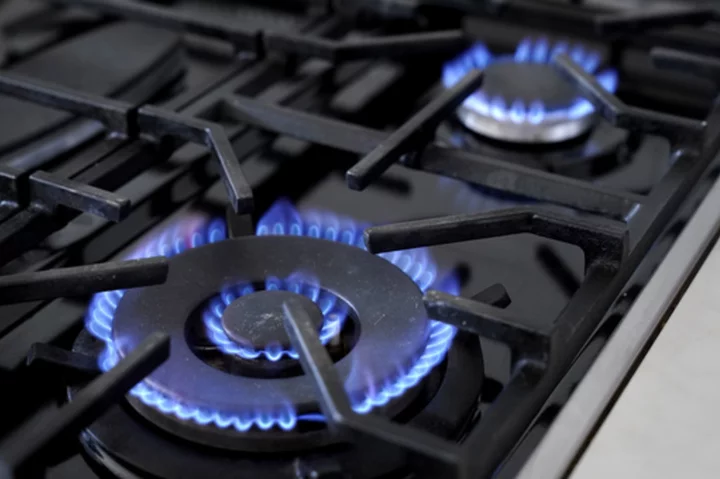 Lawsuit to block New York's ban on gas stoves is filed by gas and construction groups