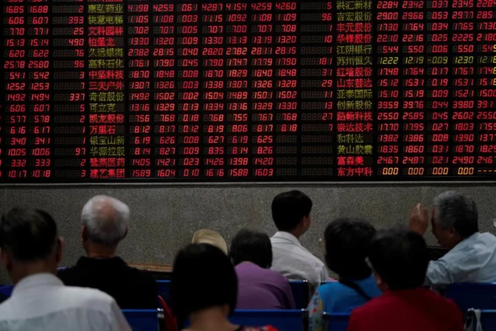 Micro stocks shine in China's flagging share market