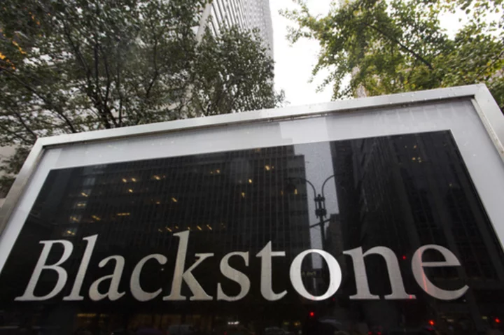 Blackstone acquires pet care app Rover in $2.3 billion all-cash deal