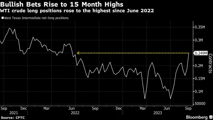 Hedge Funds Hurt by Oil’s Dip in First Half Pile Back Into Crude