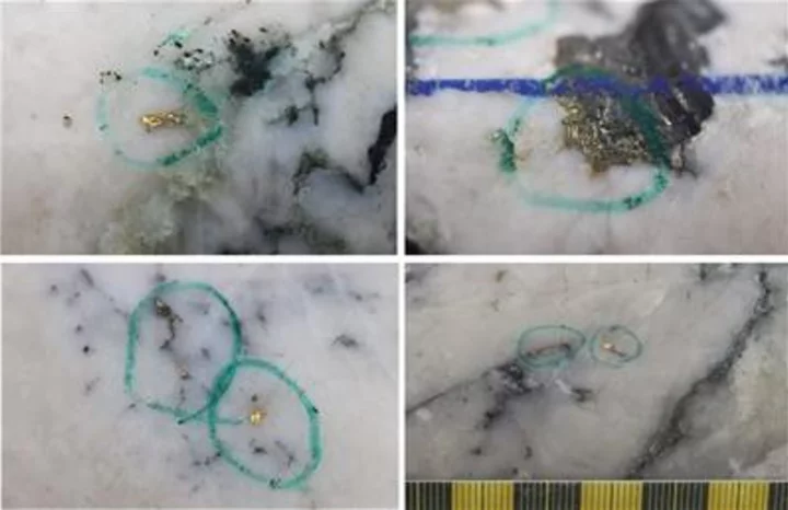 New Found Intercepts 67.5 g/t Au Over 2.65m, 66.2 g/t Au Over 2.65m & 16.5 g/t Au Over 7.40m, Expands High-Grade Gold at Golden Joint to Surface