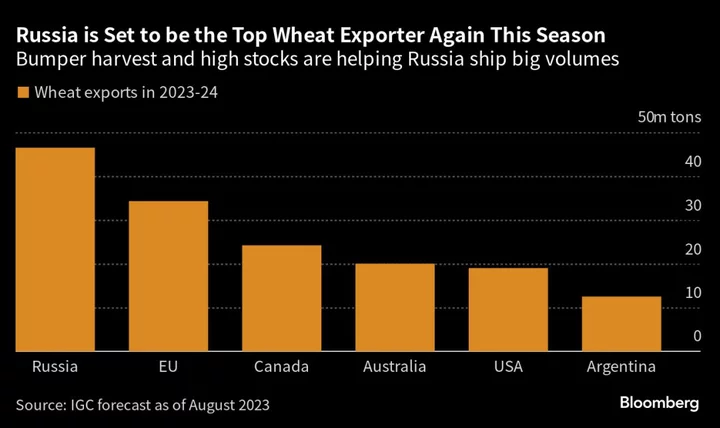 Flood of Russian Wheat Halves World Prices From Wartime High