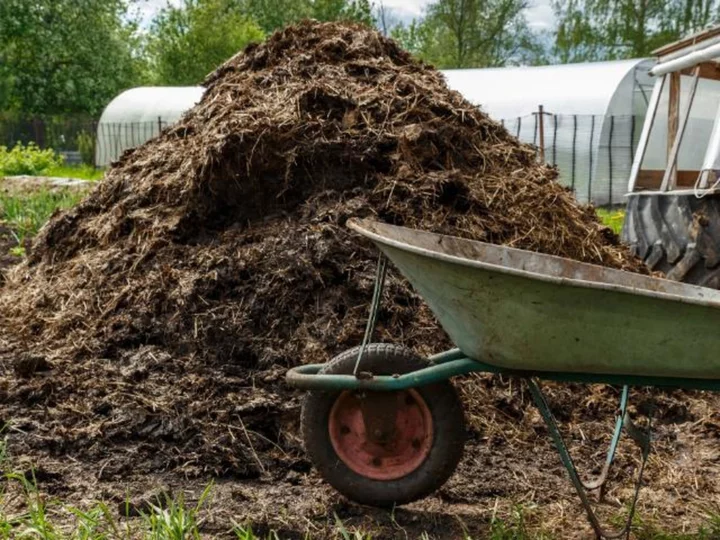 California man sentenced to over 6 years in prison for $8.7 million cow manure Ponzi scheme, US attorney's office says