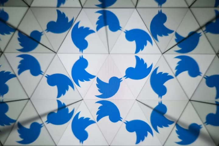 Musk hints Twitter's bird branding could be replaced