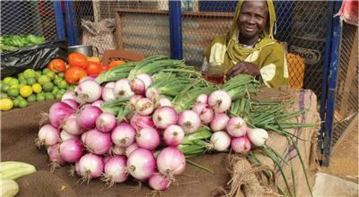 Sunnova and Seeding Mercy Inc. Collaborate to Fund Off-Grid Solar Powered Irrigation Pumps, Combating Hunger and Empowering Communities in East Africa