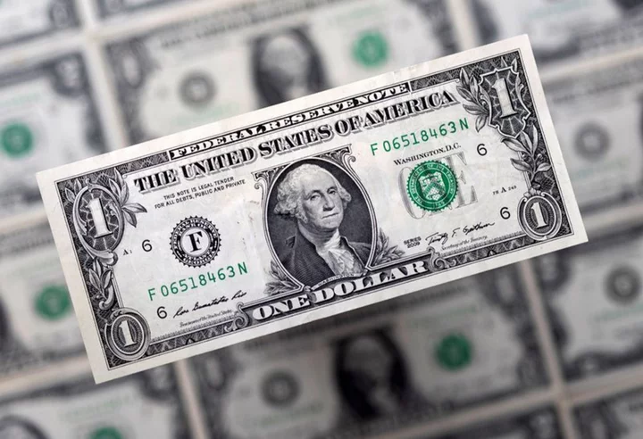 Dollar licks wounds as China data looms