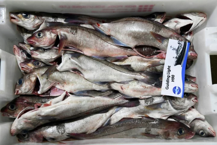 Scottish port feels force of UK fishing storm