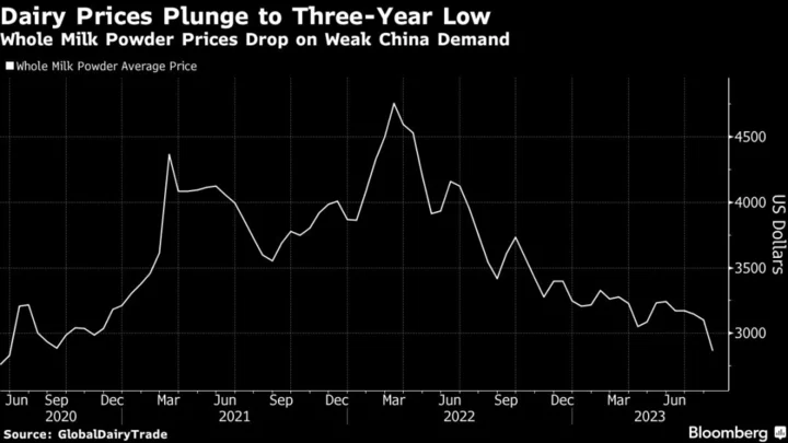 Milk Powder Price Sinks to Three-Year Low as Dairy Demand Wanes