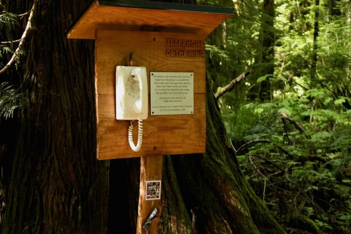 'I need an outlet': Grieving relatives talk to lost loved ones on phone in the forest