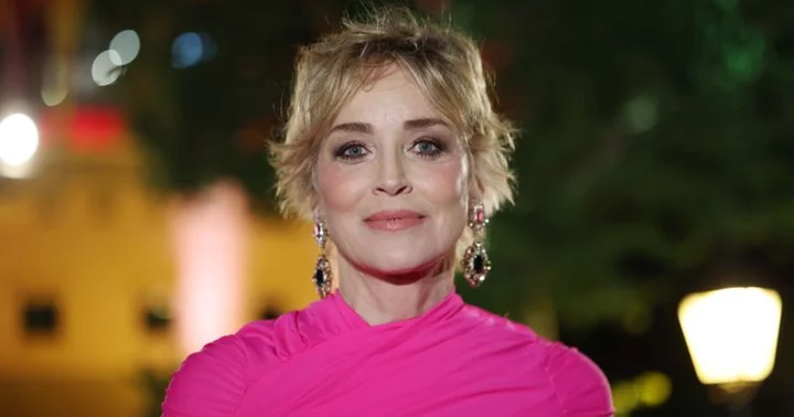 'Basic Instinct is back': Sharon Stone, 65, gets photobombed by her pet pooch Bandit as she shares glamorous bikini selfie from LA mansion