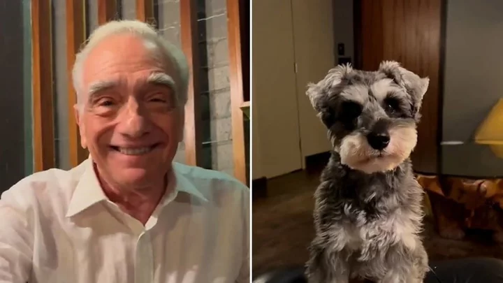 Martin Scorsese claims he was 'tricked' into his new TikTok stardom