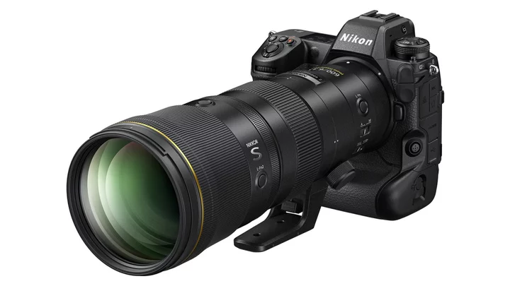 Nikon's 600mm F6.3 VR S Is a Featherweight Lens for Wildlife