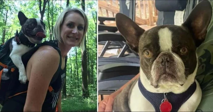 Who is Allison Gaiser? Woman charged with animal cruelty for abandoning her French Bulldog at Pittsburg airport and jetting off to vacation