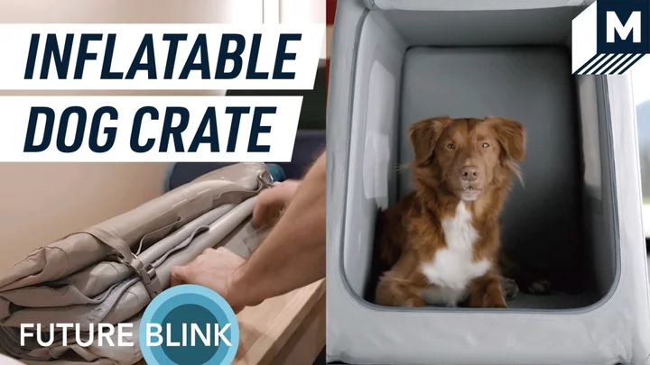 This inflatable dog crate makes it easy to travel with your dog