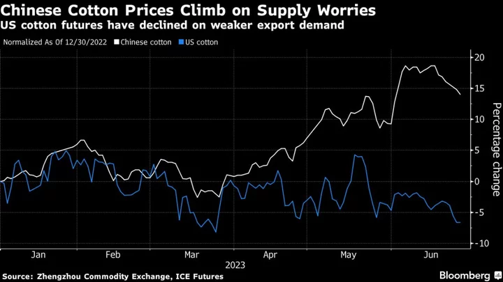 China Prepares to Sell Cotton From Reserves on Supply Concerns