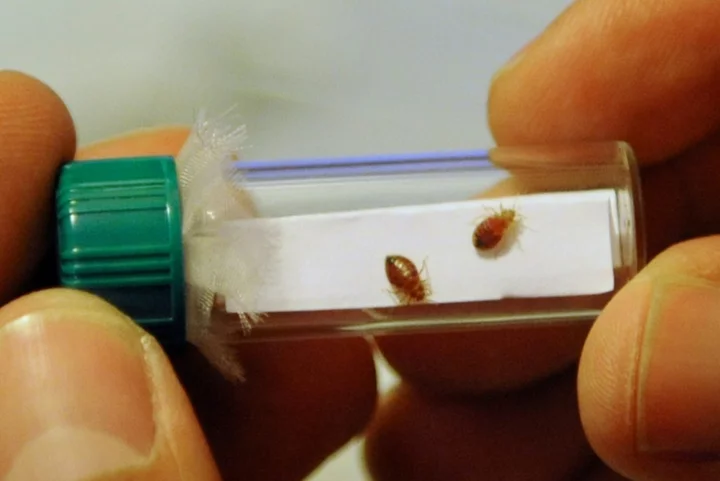 France to hold crisis meetings on bedbug 'scourge'