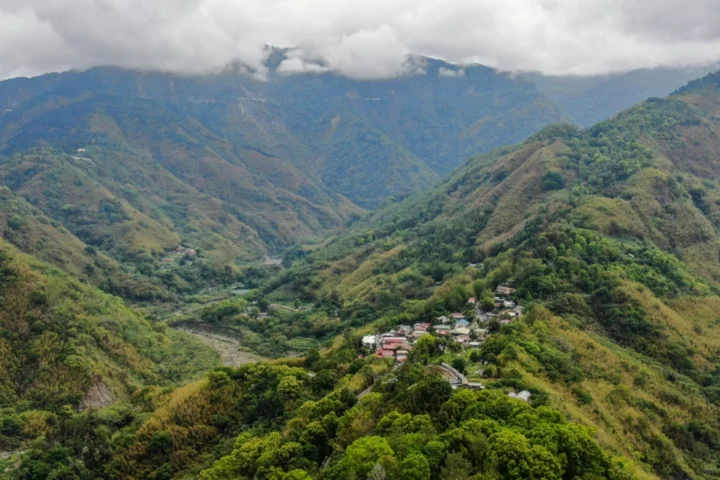 Taiwan tribe despairs as drought shrinks bamboo crop