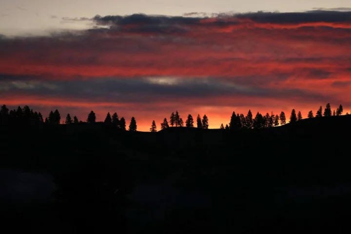 Montana court rules for young people in landmark US climate trial