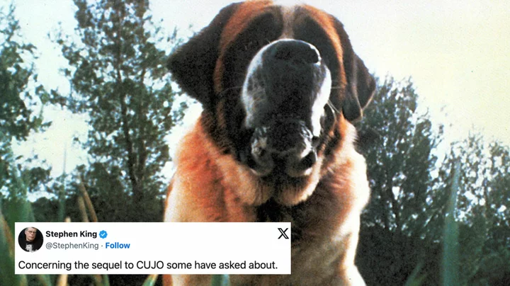 Stephen King teases extract from upcoming 'Cujo' sequel