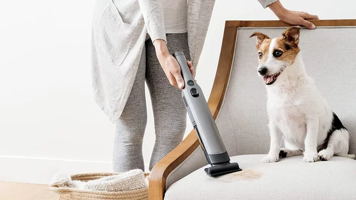 The best handheld vacuums for keeping up with pet hair