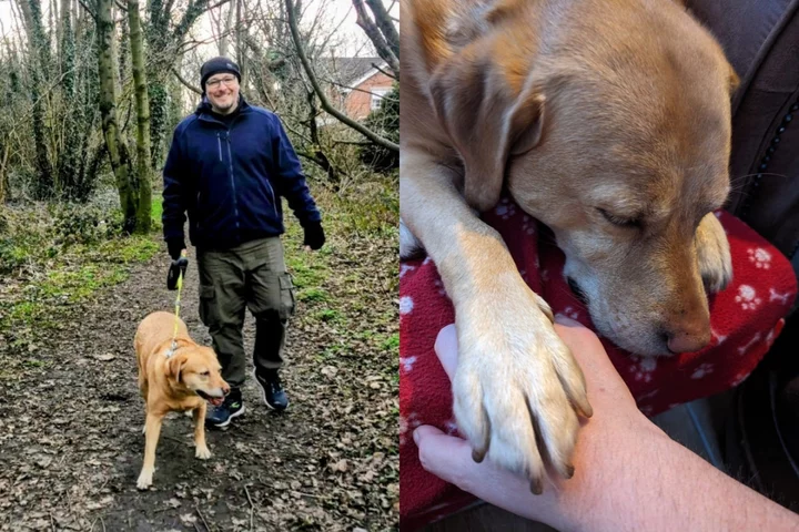 Man and pet dog both diagnosed with kidney cancer at same time