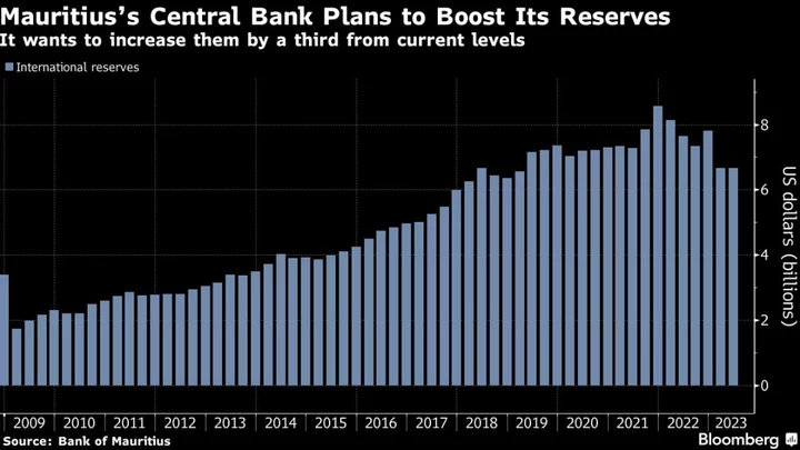 Mauritius To Boost Reserves as Buffer Against Economic Shocks