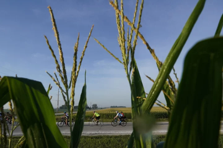 At RAGBRAI, 'the ride will provide' is the mantra for thousands as they bike across Iowa