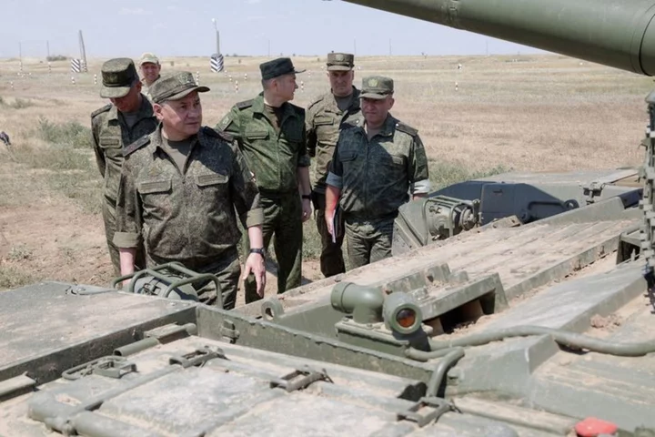 Russian defence minister Shoigu shown inspecting troops