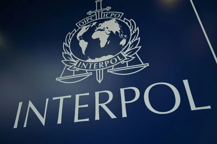'Flower tattoo' British woman identified 31 years after murder: Interpol