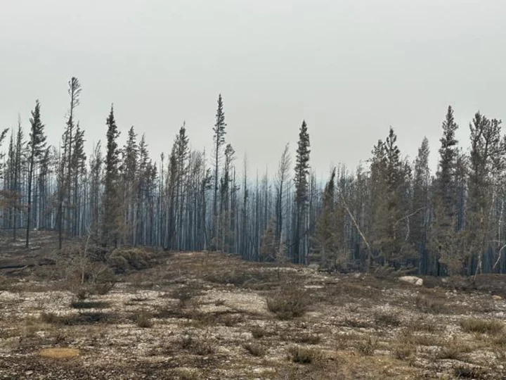 Thousands scramble to evacuate capital of Canada's Northwest Territories as more than 200 'unprecedented' wildfires blanket region