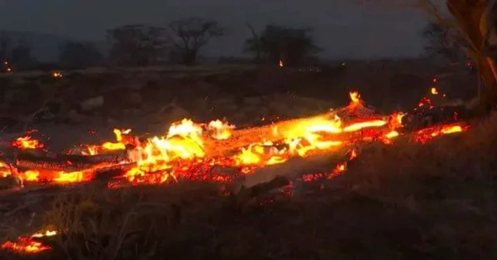 Hero firefighters battle new Maui brush fire that destroyed 10 acres near Lahaina