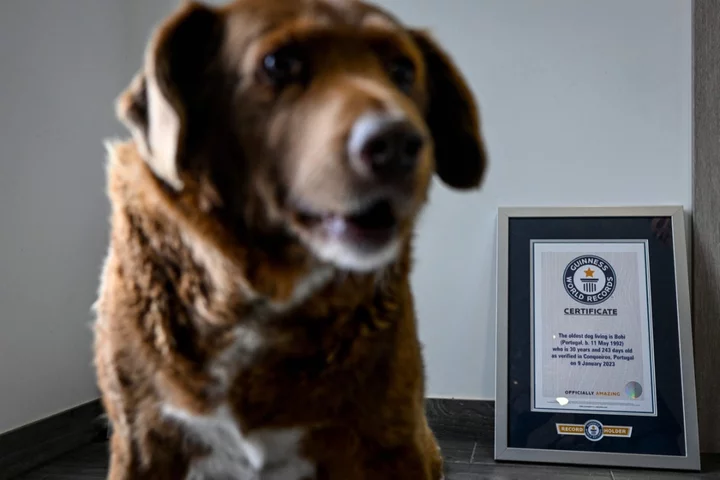 Owner reveals secret to long life of world’s oldest dog