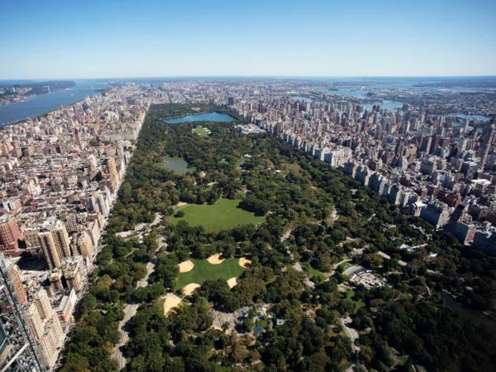 A dog was stabbed in NYC's Central Park following 'verbal dispute' between two owners, NYPD says