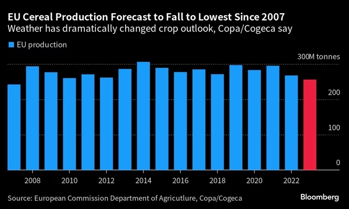 Heat, War and Export Bans: Global Food Threats Are On the Rise