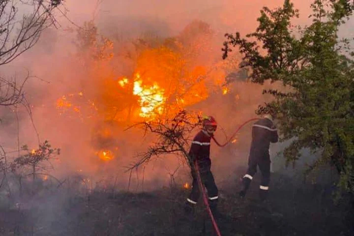 More than 3,000 tourists flee as fires tear through holiday spot in France