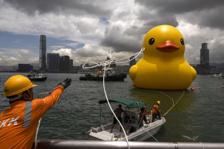 One of the 2 giant ducks in Hong Kong's Victoria Harbor deflates